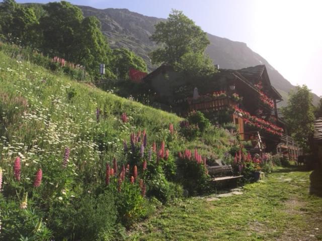 Apartment Le P'tit Coin Montagne Bonneval-sur-Arc